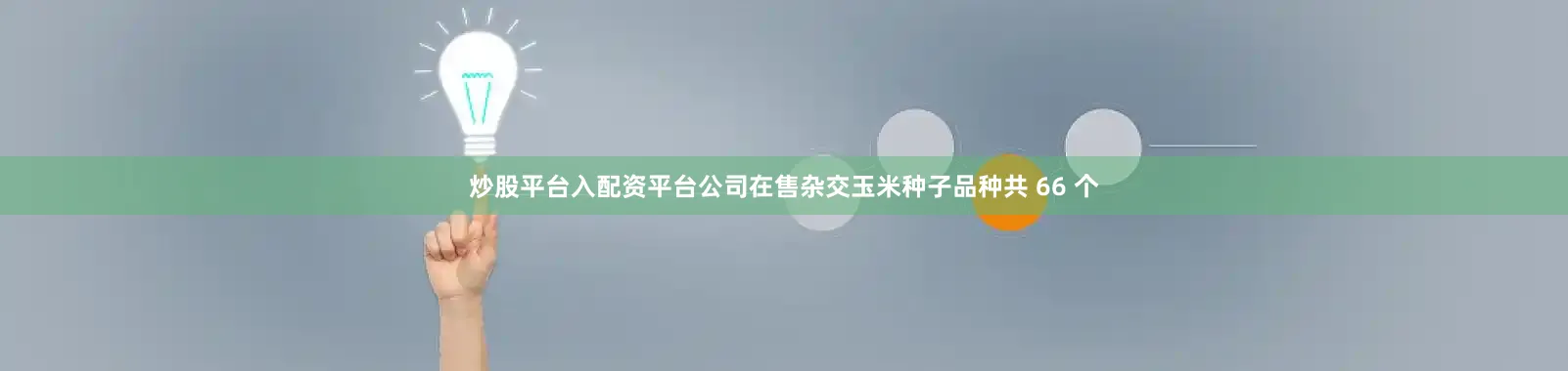 炒股平台入配资平台公司在售杂交玉米种子品种共 66 个