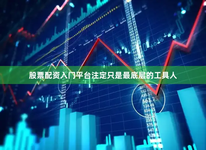 股票配资入门平台注定只是最底层的工具人