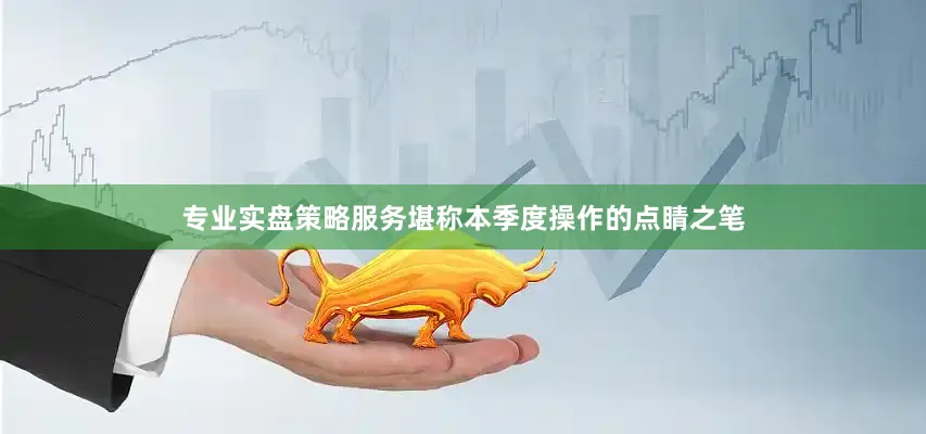 专业实盘策略服务堪称本季度操作的点睛之笔
